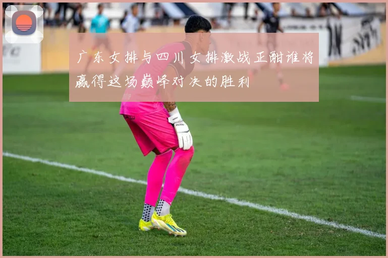 广东女排与四川女排激战正酣谁将赢得这场巅峰对决的胜利