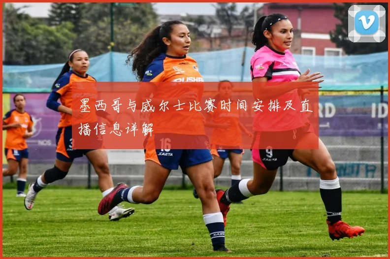 墨西哥与威尔士比赛时间安排及直播信息详解