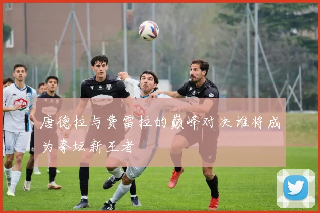 唐德拉与费雷拉的巅峰对决谁将成为拳坛新王者