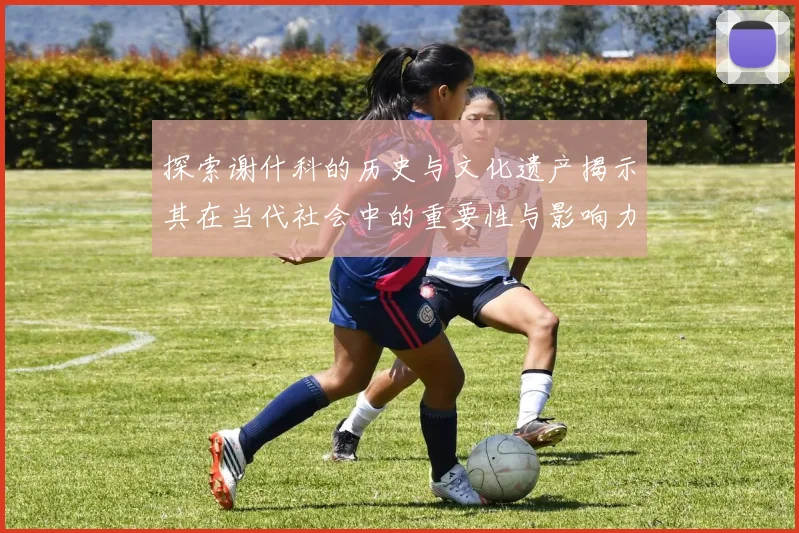 探索谢什科的历史与文化遗产揭示其在当代社会中的重要性与影响力