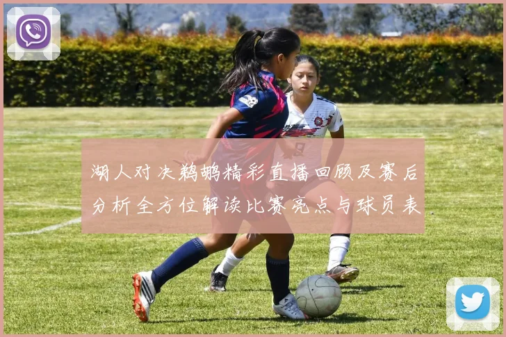 湖人对决鹈鹕精彩直播回顾及赛后分析全方位解读比赛亮点与球员表现