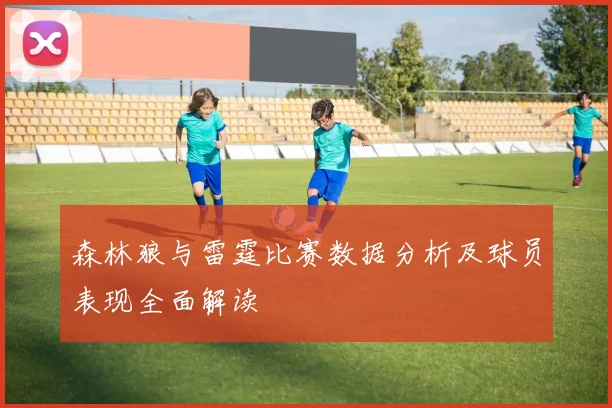 森林狼与雷霆比赛数据分析及球员表现全面解读