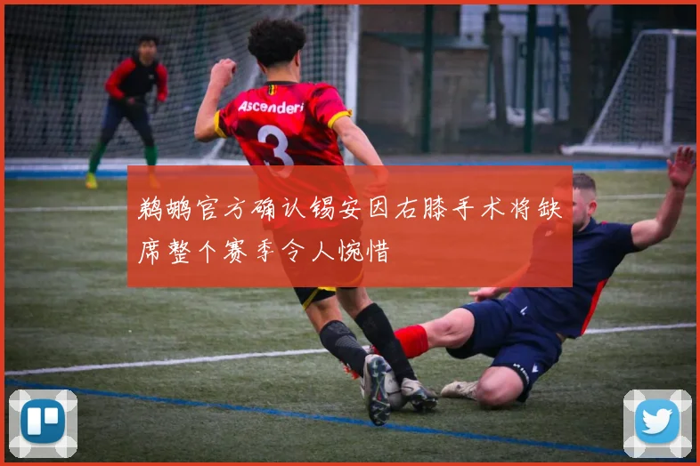 鹈鹕官方确认锡安因右膝手术将缺席整个赛季令人惋惜