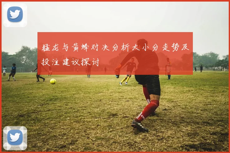 猛龙与黄蜂对决分析大小分走势及投注建议探讨